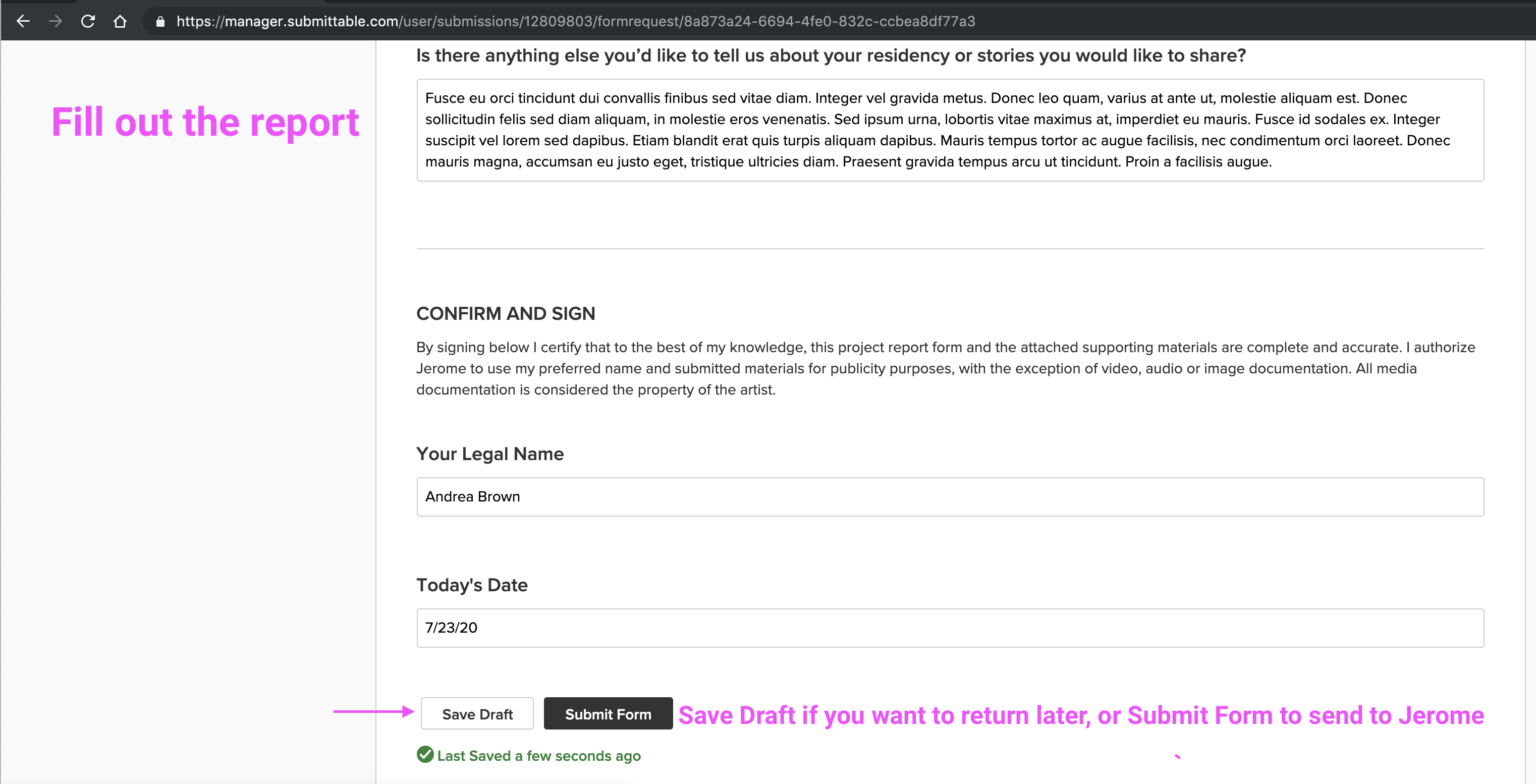 View of the Report on Submittable, showing the Save Draft and Submit Form buttons.